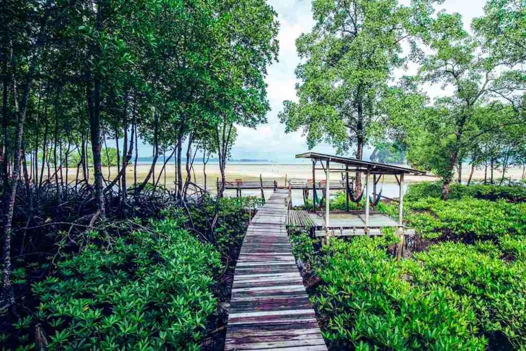 Bananas Resort & Restaurant Tha Lane Bay Екстериор снимка